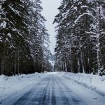 snowy road between trees